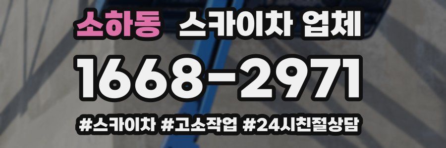 소하동 스카이차 업체