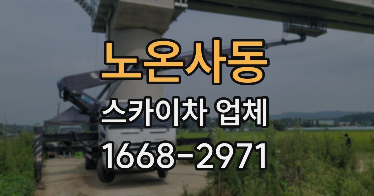 노온사동 스카이차 업체