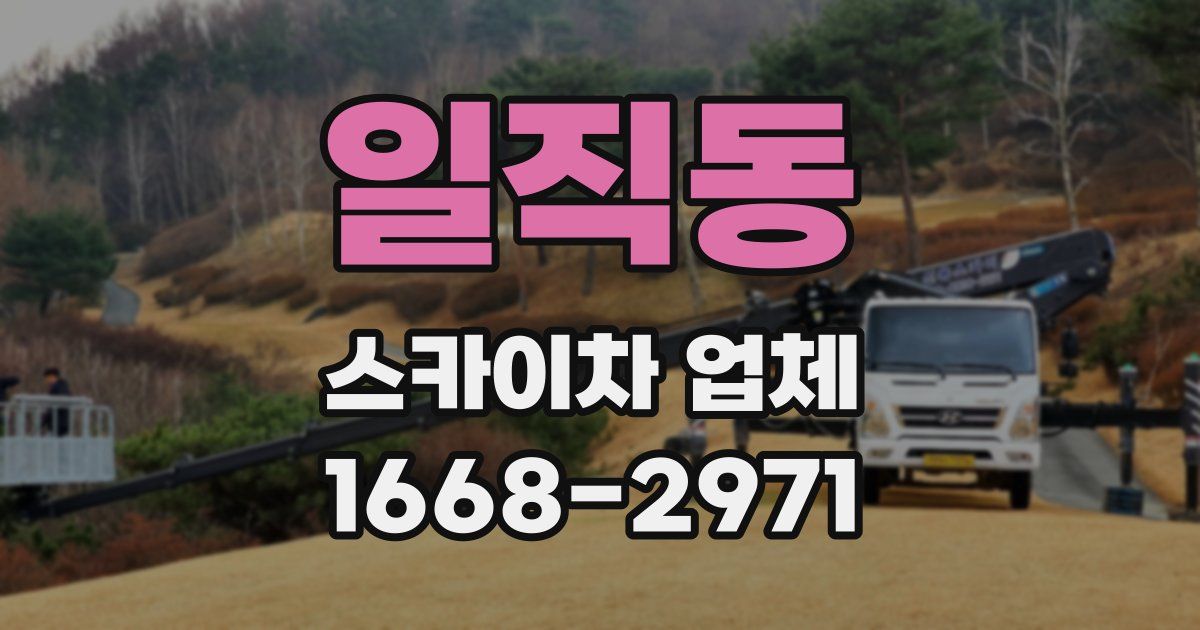 일직동 스카이차 업체