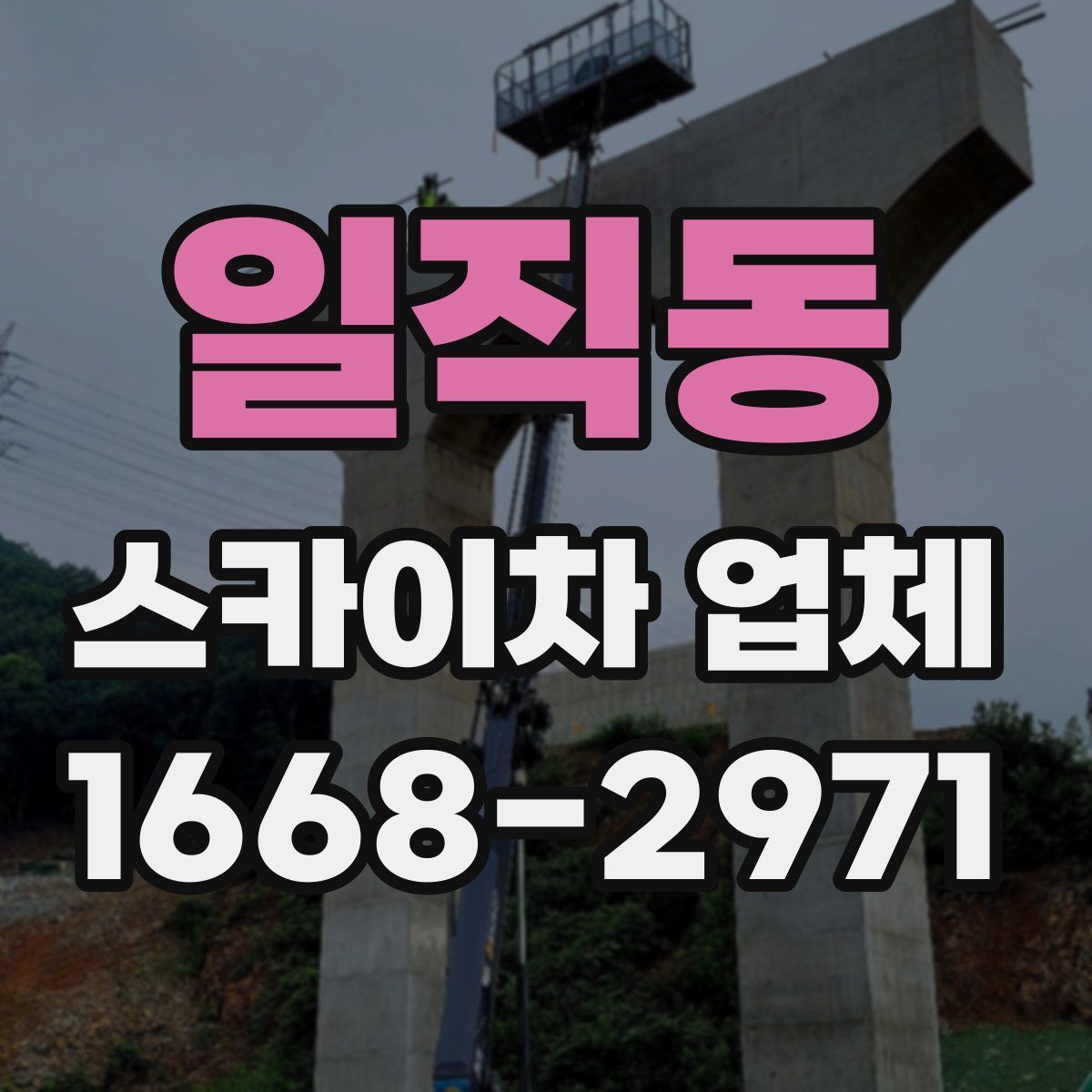 일직동 스카이차 업체