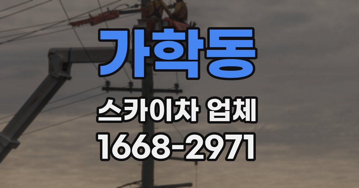 가학동 스카이차 업체