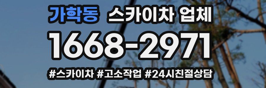 가학동 스카이차 업체