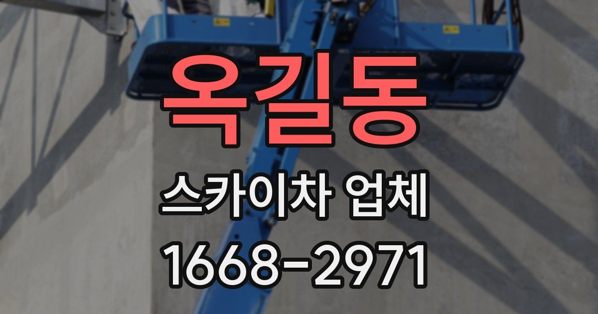 옥길동 스카이차 업체