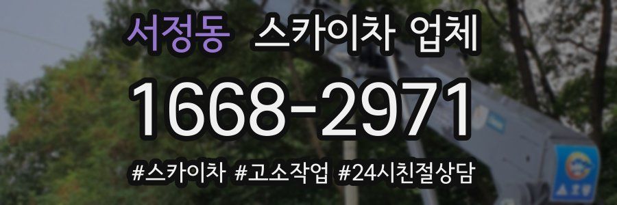 서정동 스카이차 업체