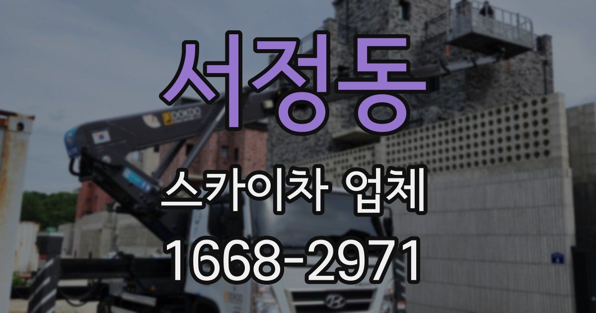 서정동 스카이차 업체