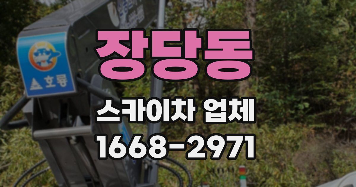 장당동 스카이차 업체