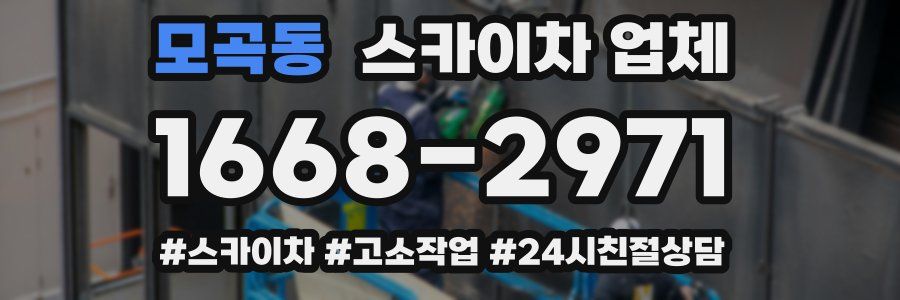 모곡동 스카이차 업체