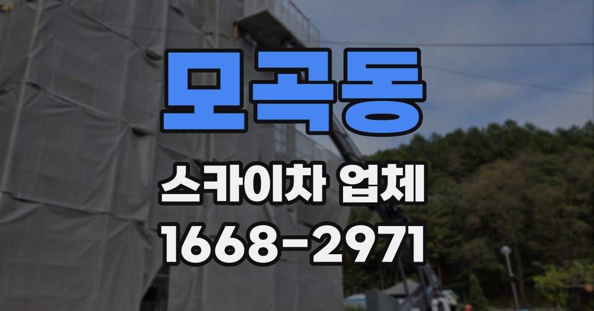 모곡동 스카이차 업체