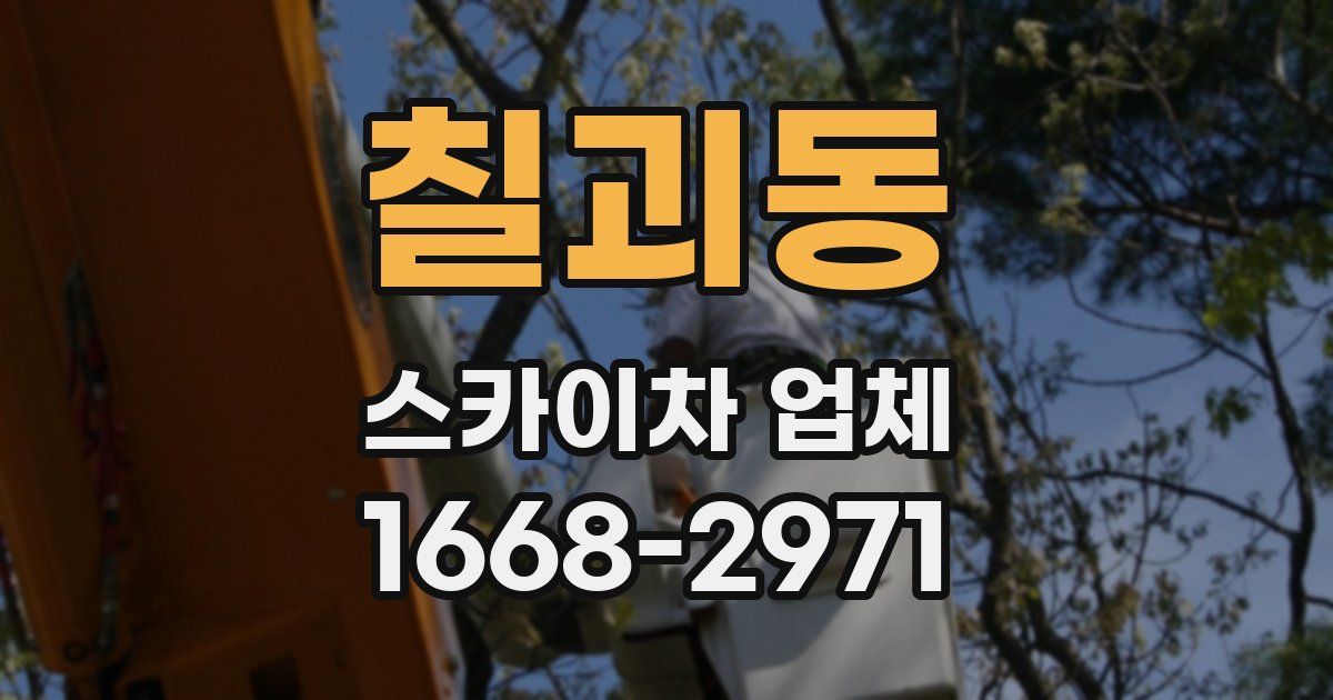 칠괴동 스카이차 업체