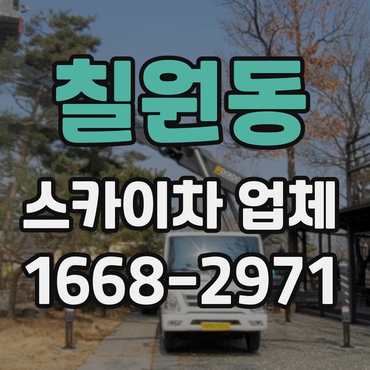 칠원동 스카이차 업체