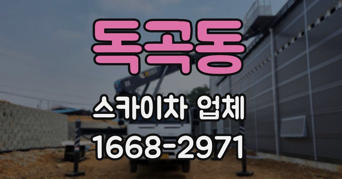 독곡동 스카이차 업체