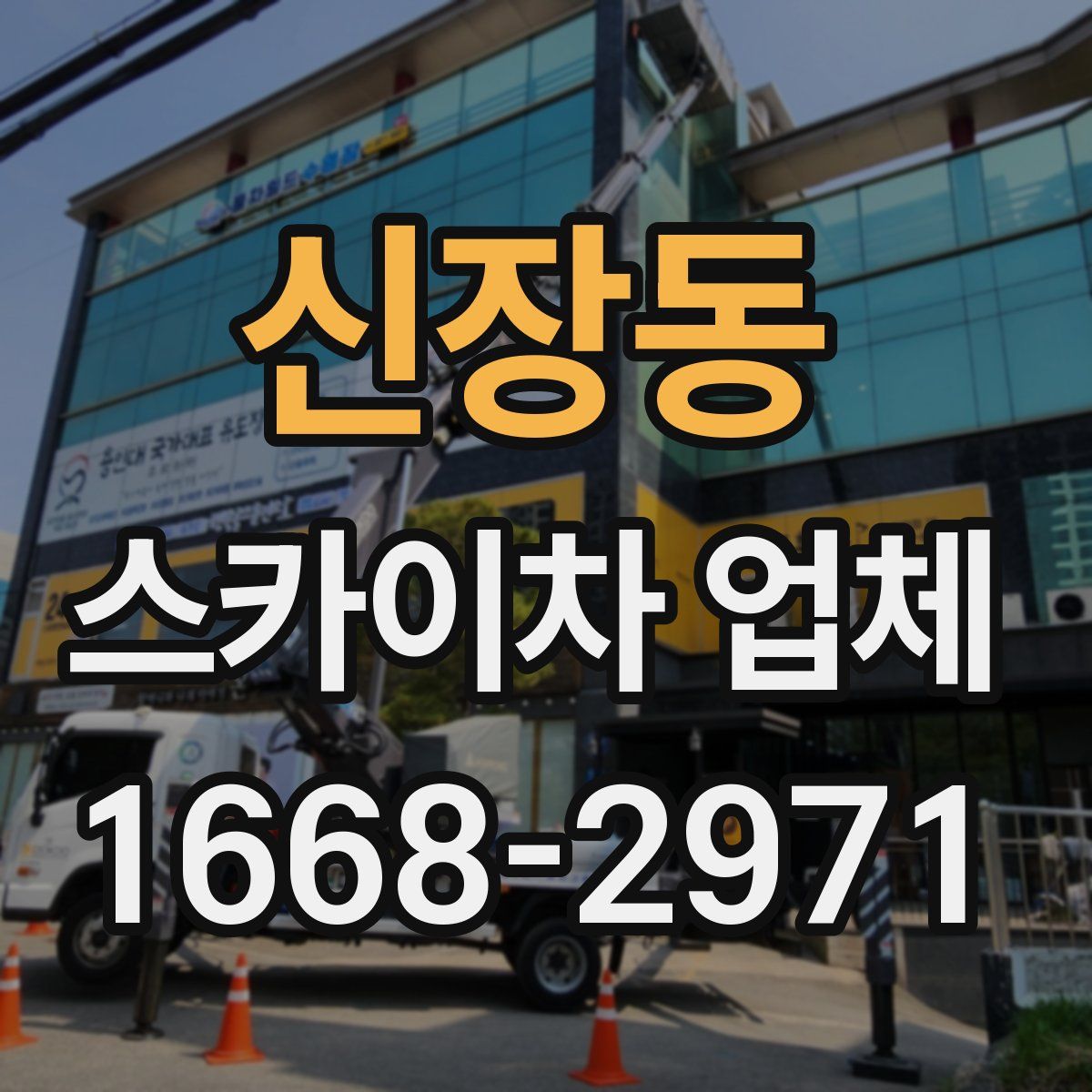 신장동 스카이차 업체