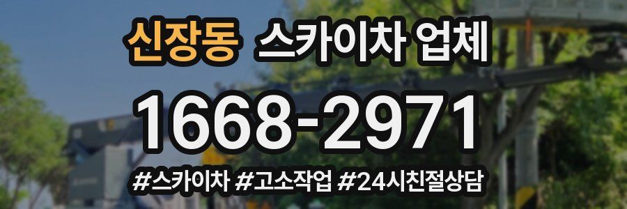 신장동 스카이차 업체