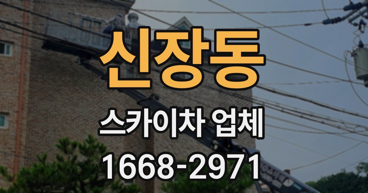 신장동 스카이차 업체