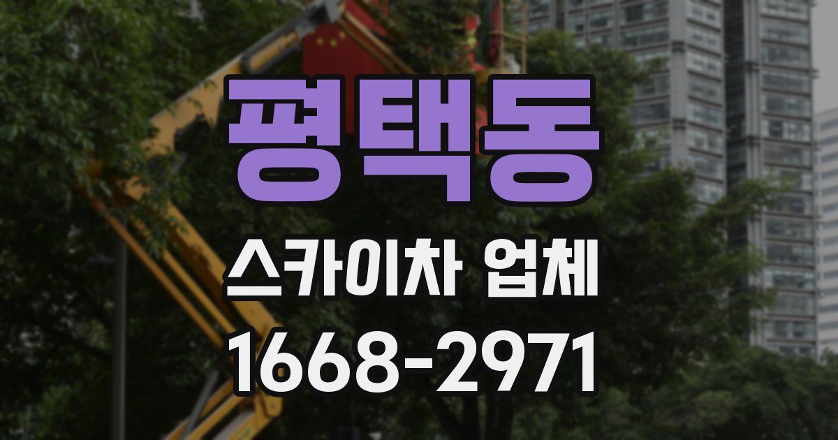 평택동 스카이차 업체