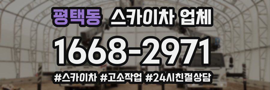 평택동 스카이차 업체