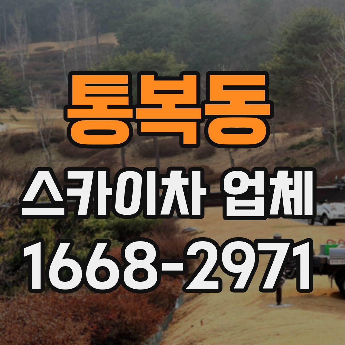 통복동 스카이차 업체