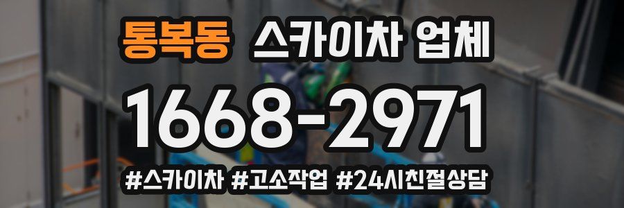 통복동 스카이차 업체