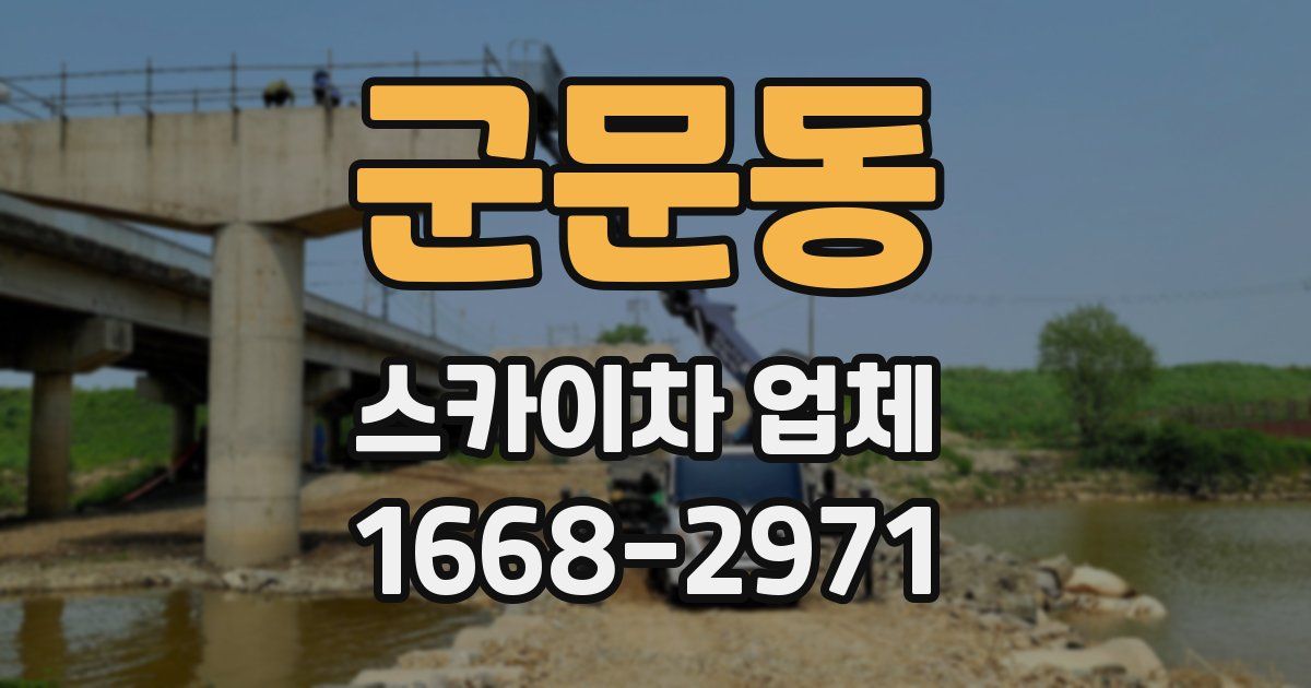 군문동 스카이차 업체