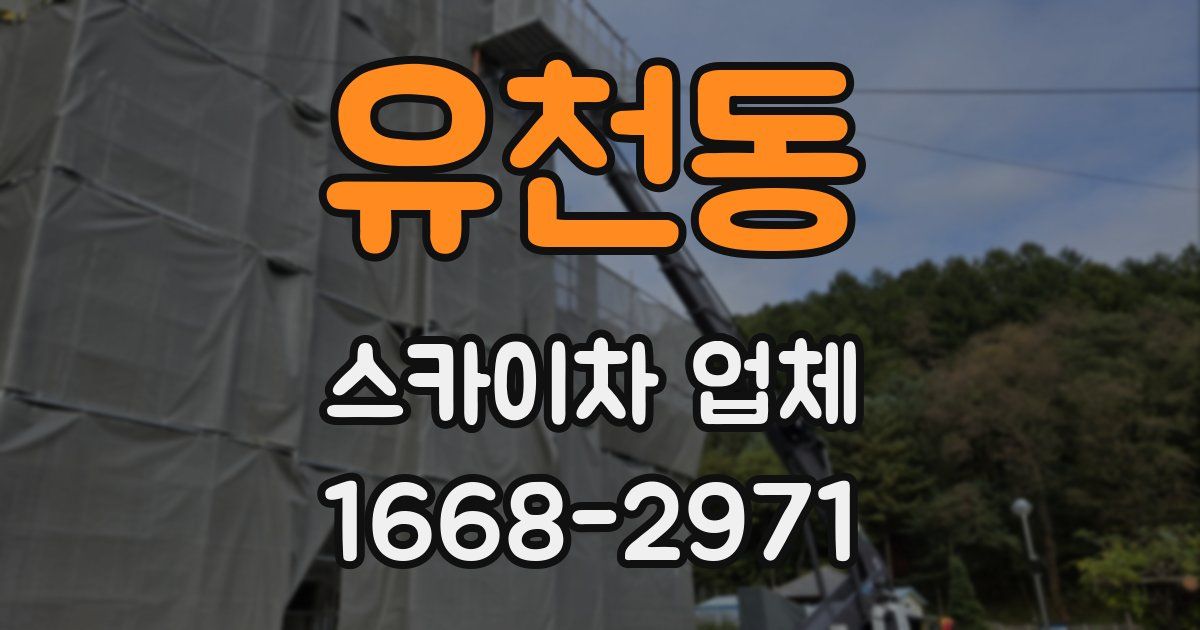 유천동 스카이차 업체