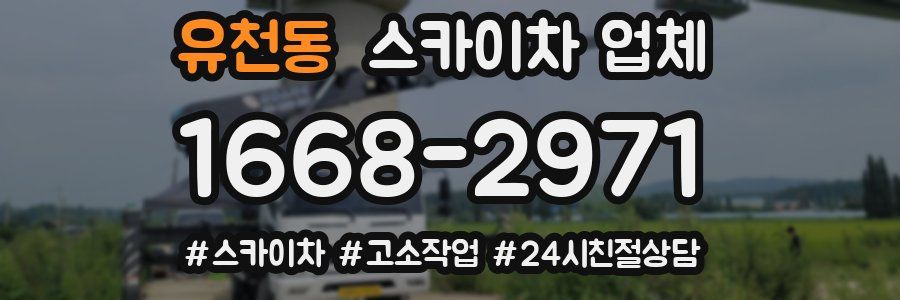 유천동 스카이차 업체