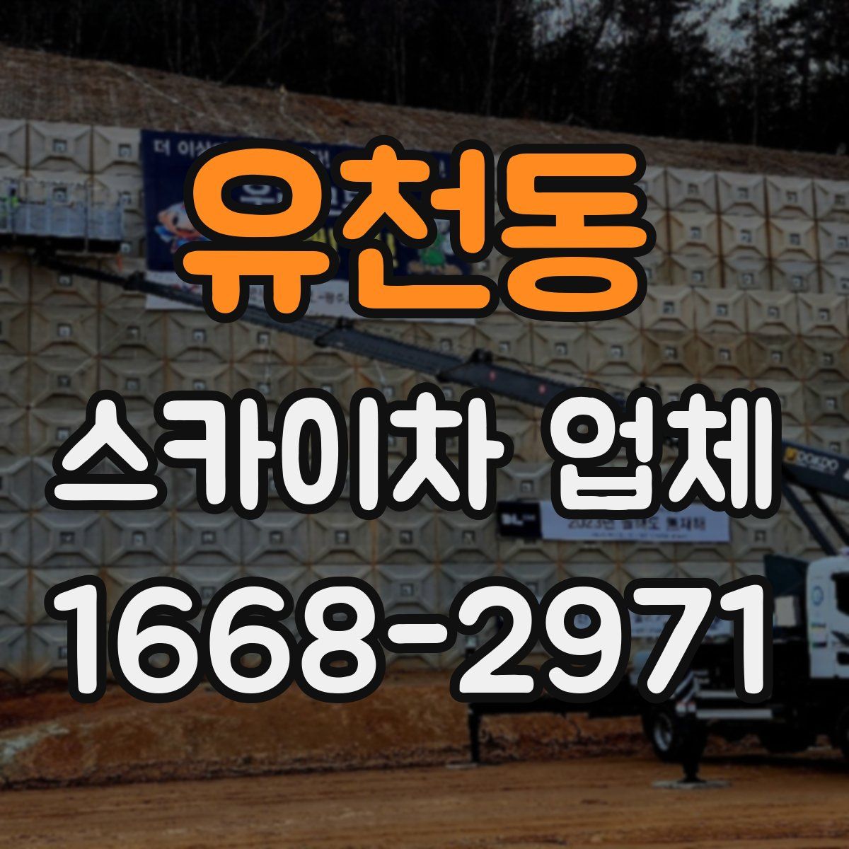 유천동 스카이차 업체