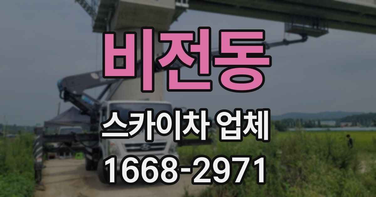 비전동 스카이차 업체