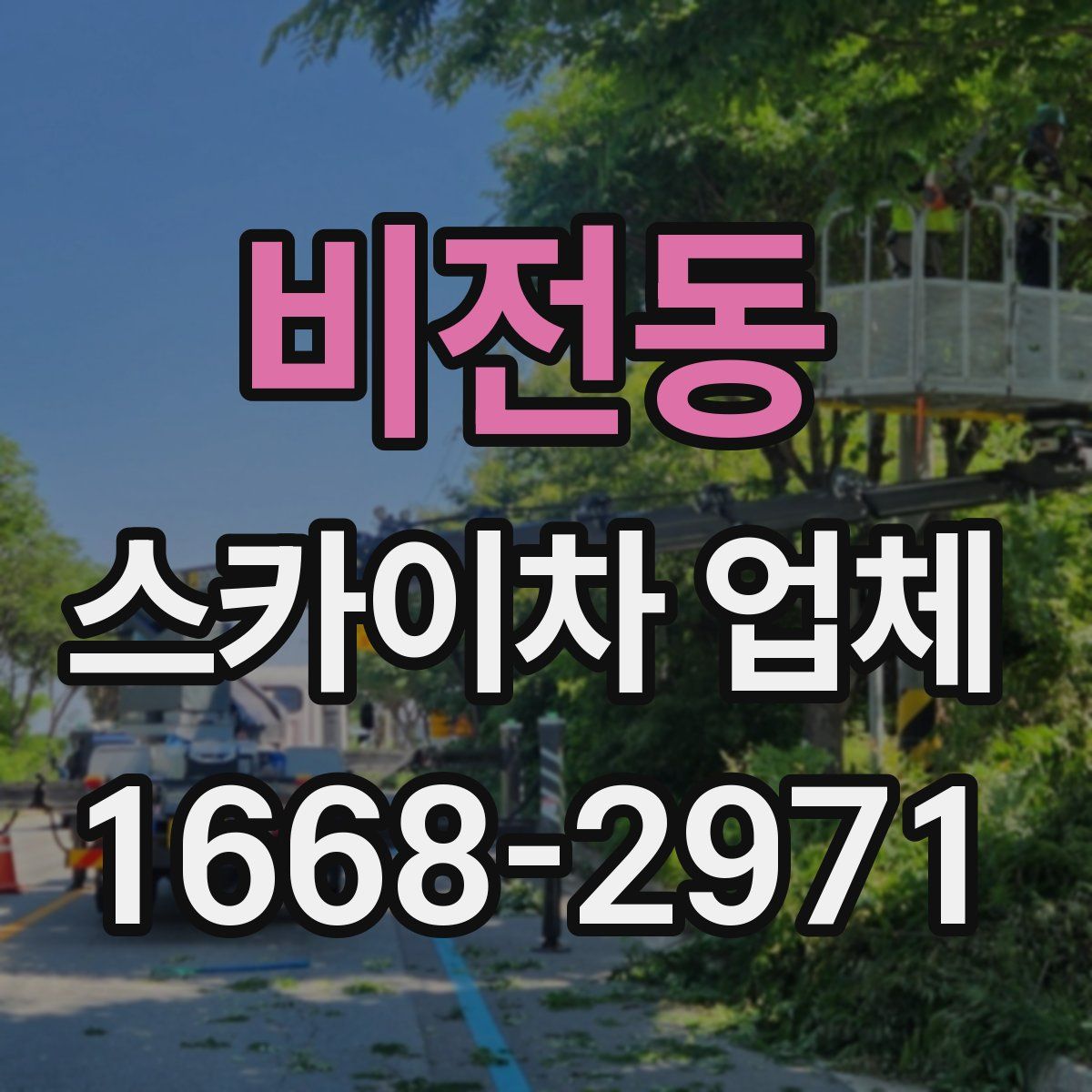 비전동 스카이차 업체