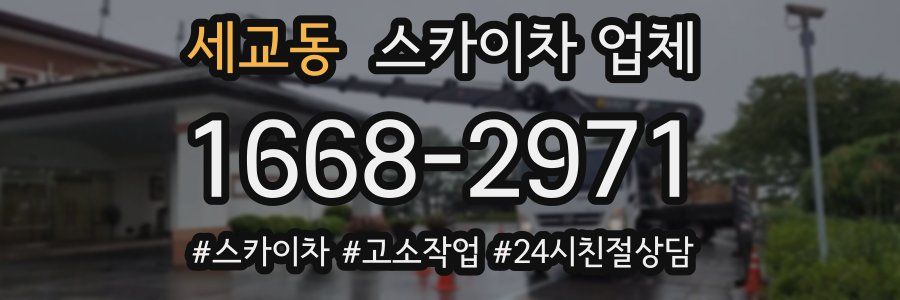세교동 스카이차 업체