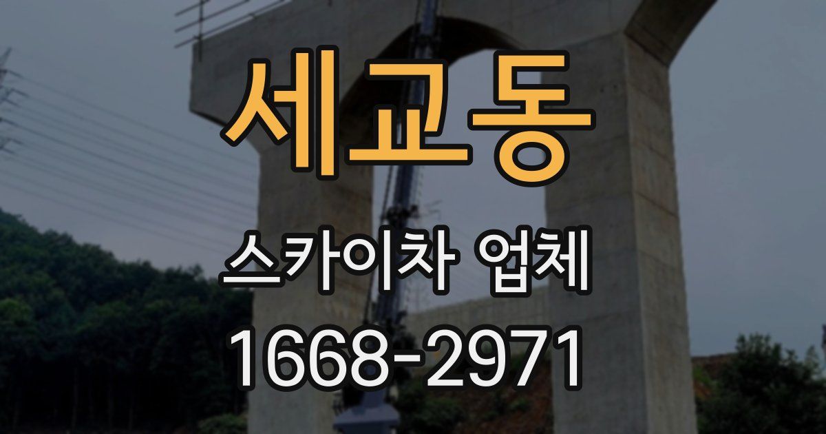 세교동 스카이차 업체
