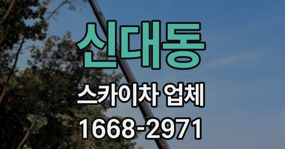 신대동 스카이차 업체