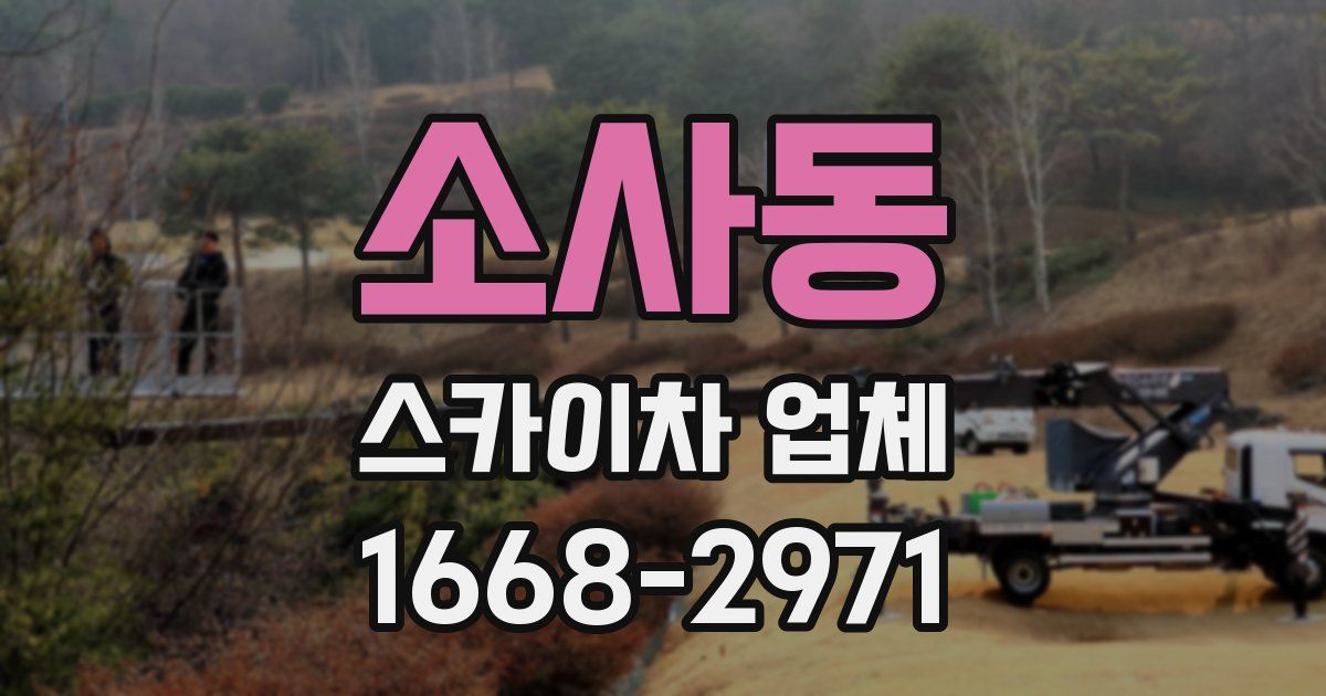 소사동 스카이차 업체