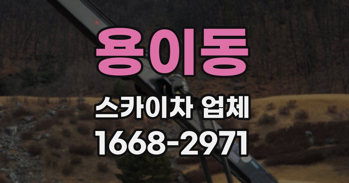 용이동 스카이차 업체