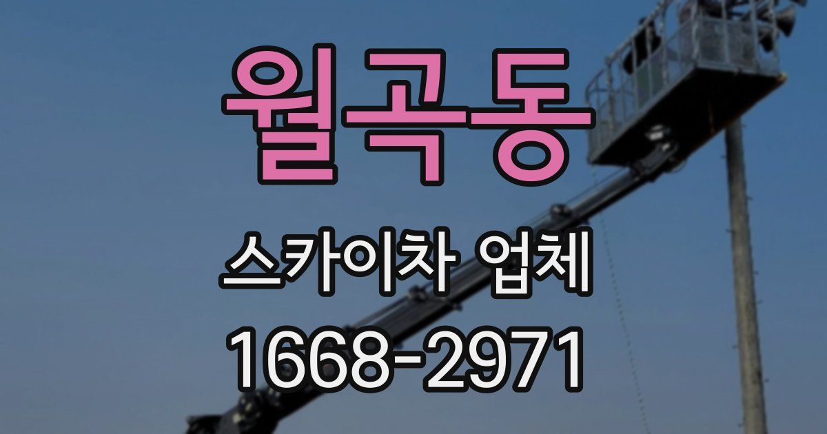 월곡동 스카이차 업체