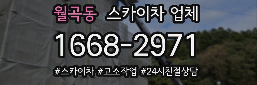 월곡동 스카이차 업체