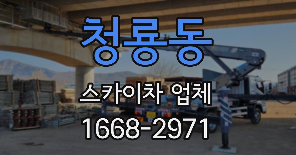 청룡동 스카이차 업체