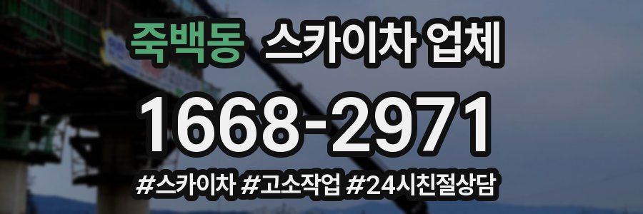 죽백동 스카이차 업체