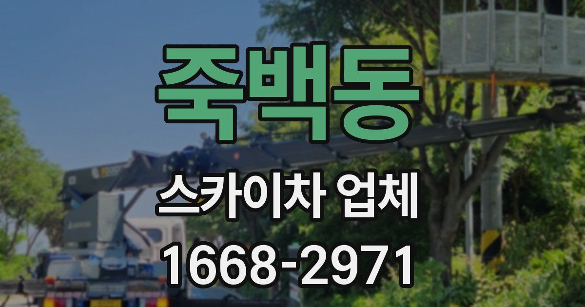죽백동 스카이차 업체