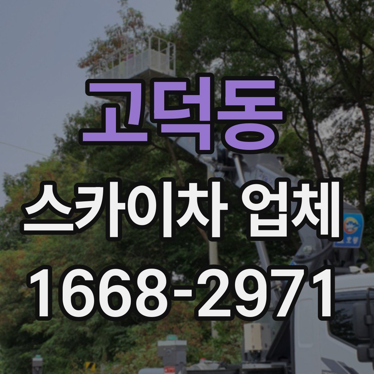 고덕동 스카이차 업체