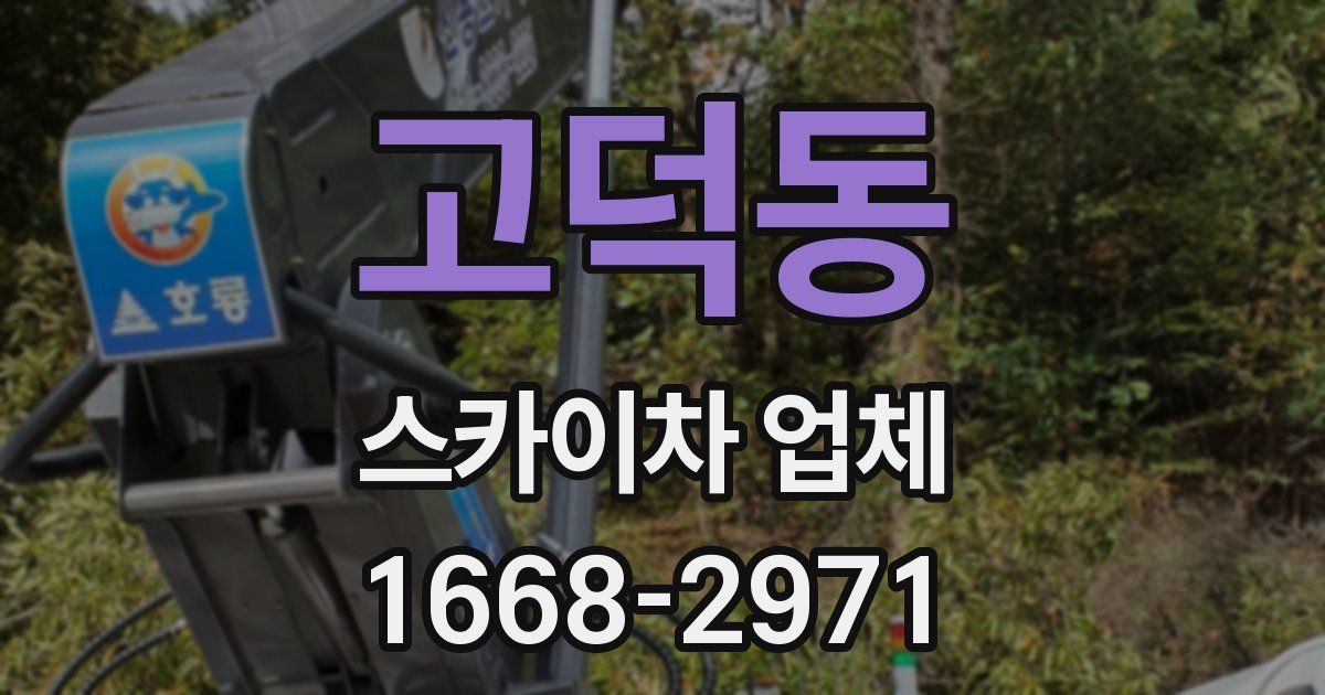 고덕동 스카이차 업체