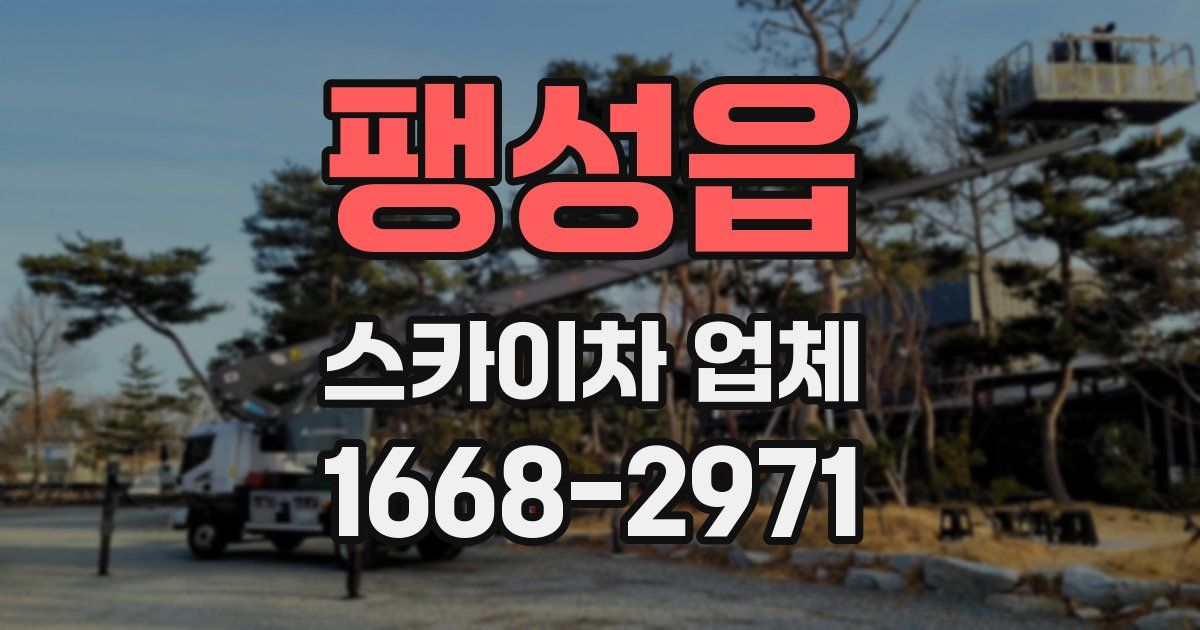 팽성읍 스카이차 업체