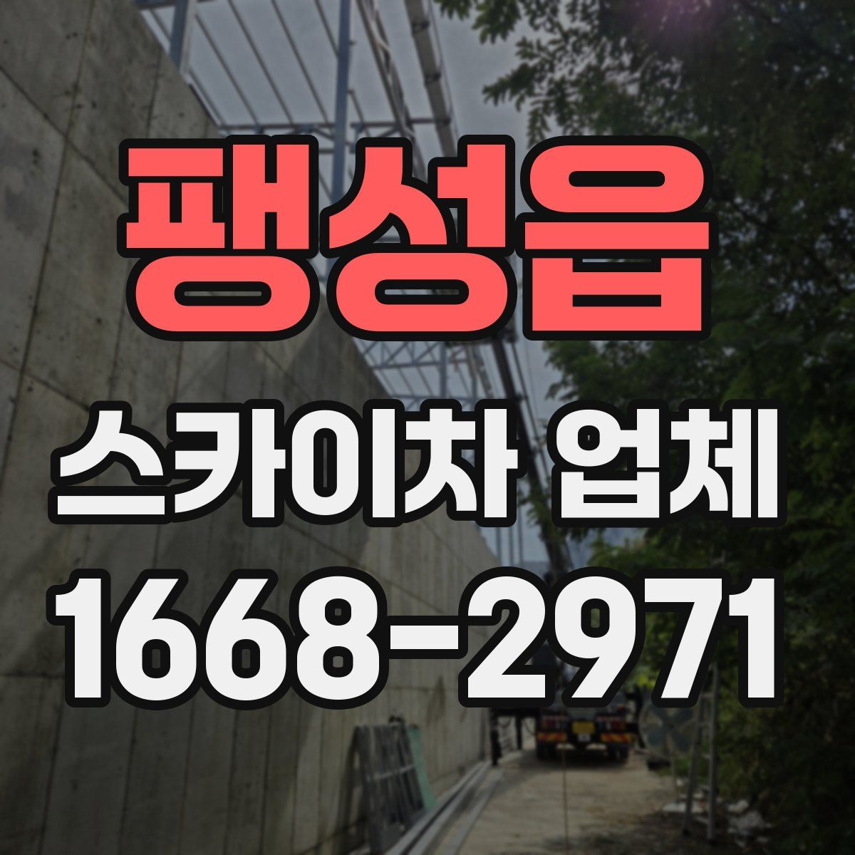 팽성읍 스카이차 업체