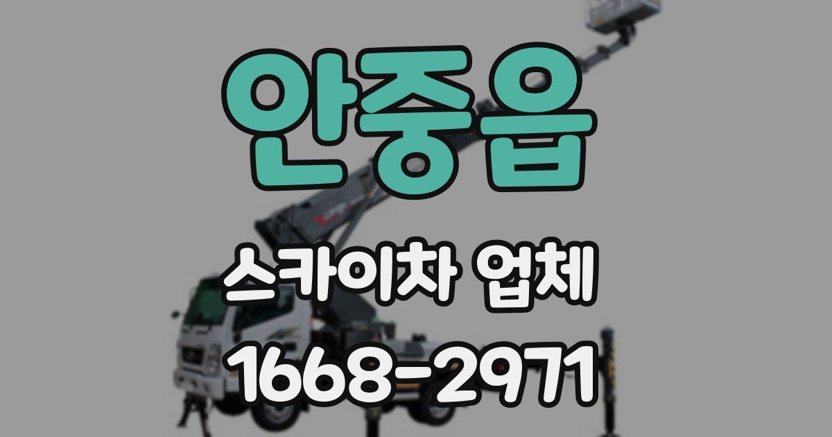 안중읍 스카이차 업체