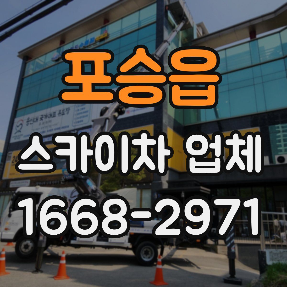 포승읍 스카이차 업체