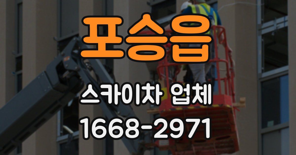 포승읍 스카이차 업체