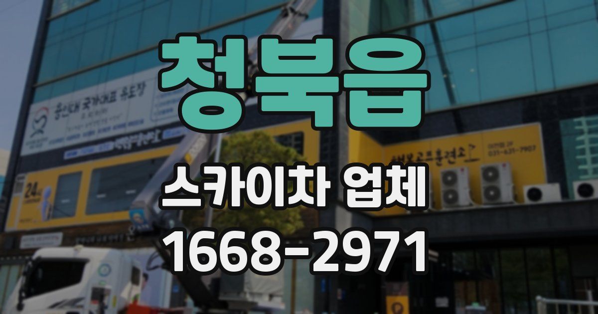 청북읍 스카이차 업체