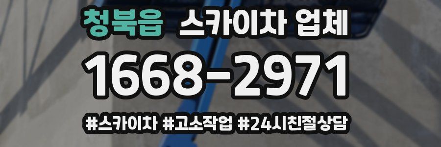 청북읍 스카이차 업체