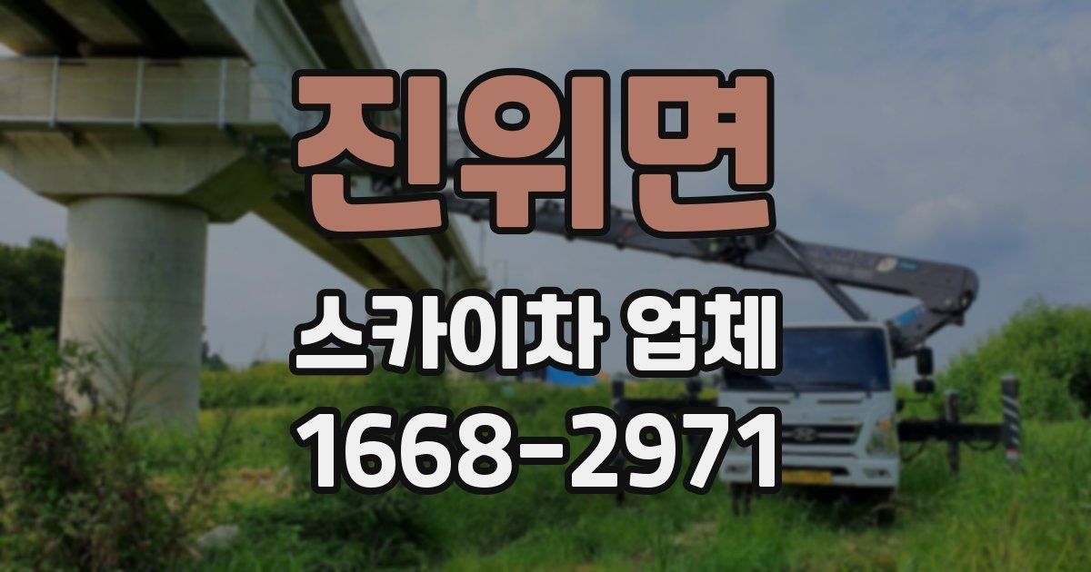 진위면 스카이차 업체