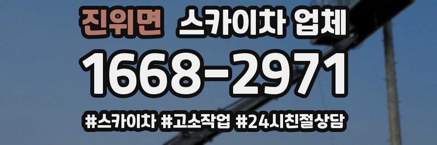 진위면 스카이차 업체