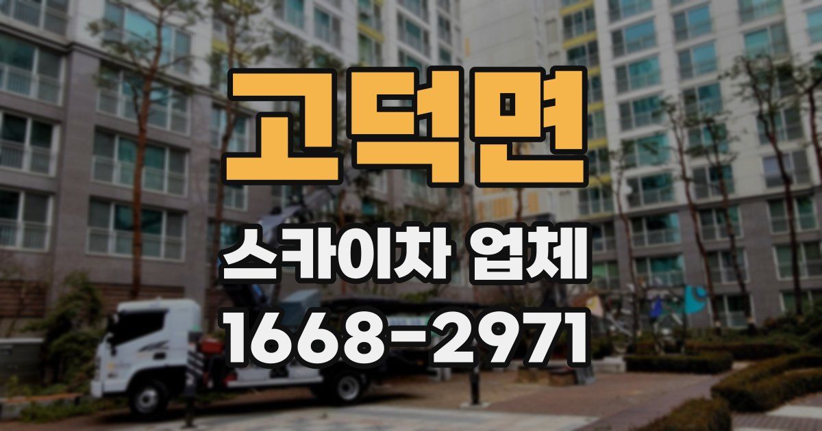 고덕면 스카이차 업체